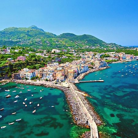 Villa To Ischia With Love Εξωτερικό φωτογραφία