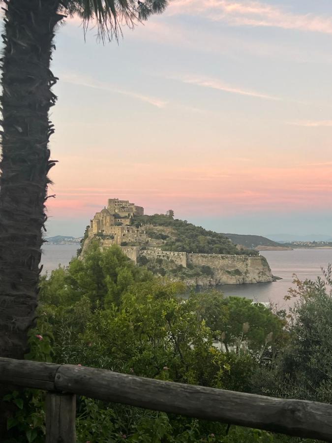 Villa To Ischia With Love Εξωτερικό φωτογραφία